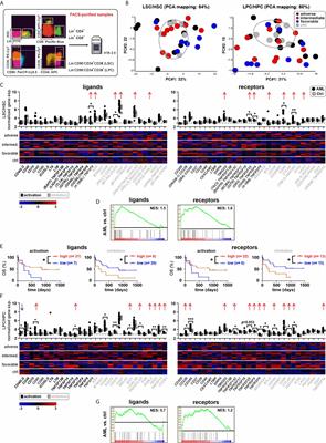 Epigenetic Silencing of Immune-Checkpoint Receptors in Bone Marrow- Infiltrating T Cells in Acute Myeloid Leukemia